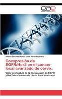 Coexpresion de Egfr/Her2 En El Cancer Local Avanzado de Cervix.