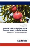 Nematodes Associated with Pomegranate in Balochistan