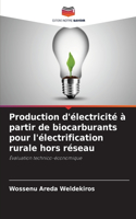 Production d'électricité à partir de biocarburants pour l'électrification rurale hors réseau