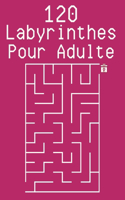 120 Labyrinthes Pour Adulte: Livre De Jeux Pour Améliorer La Mémoire, La Concentration Et La Rapidité Pour Les Adultes Et Adolescents - 120 Labyrinthes