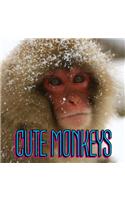 Cute Monkeys