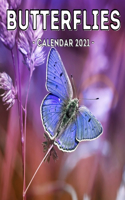 Butterflies Calendar 2021