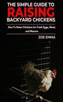 The Simple Guide To Raising Backyard Chickens