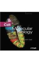 Molecular Biology