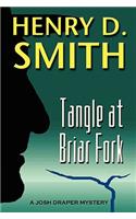 Tangle at Briar Fork: A Josh Draper Mystery