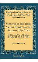 Minutes of the Third Annual Session of the Synod of New York: Held in the City of Buffalo, October 21-24, A. D. 1884 (Classic Reprint)