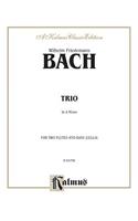 Trio in a Minor