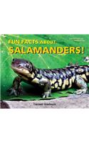 Fun Facts about Salamanders!: (I Like Reptiles and Amphibians!)
