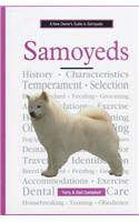 A New Owners Guide to Samoyeds