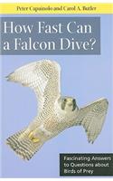 How Fast Can a Falcon Dive?