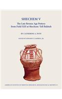 Shechem V