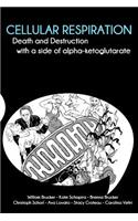 Cellular Respiration