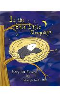 Is the Bald Eagle Sleeping?