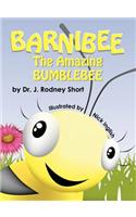 Barnibee, the Amazing Bumblebee