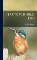 Territory in Bird Life