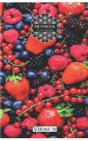Vermion Classic Squares Notebook