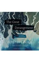 The Great Derangement