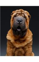 Shar Pei Notebook