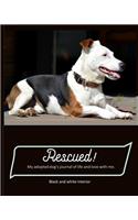 Rescued! My adopted dog's journal of life and love with me.