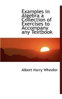 Examples in Algebra a Collection of Exercises to Accompany Any Textbook