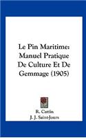Le Pin Maritime
