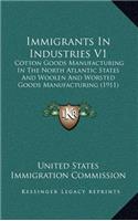 Immigrants In Industries V1