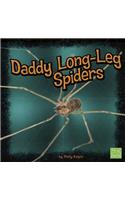 Daddy Long-Leg Spiders