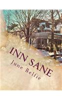 Inn Sane: Memoirs of an Innkeeper(English)
