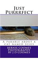 Just Purrrfect: A parable about a cat named Jesus