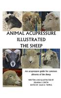 Animal Acupressure Illustrated The Sheep