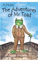 The Adventure of Mr Toad