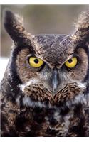 Great Horned Owl Journal: 150 page lined notebook/diary