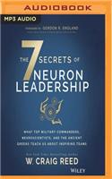 7 Secrets of Neuron Leadership