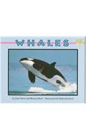 Whales
