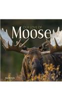 Our Love of Moose