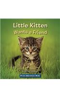Little Kitten Wants a Friend