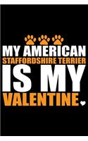 My American Staffordshire Terrier Is My Valentine