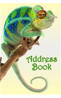 Address Book