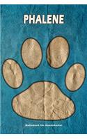 Phalene Notizbuch für Hundehalter: Hunderasse Phalene. Ideal als Geschenk für Hundebesitzer - 6x9 Zoll (ca. Din. A5) - 100 Seiten - gepunktete Linien