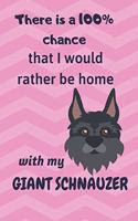 There is a 100% chance that I would rather be home with my Giant Schnauzer Dog: For Giant Schnauzer Dog Fans