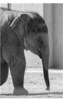 Elephant Notebook