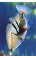 Picasso Triggerfish Journal: Take Notes, Write Down Memories in this 150 Page Lined Journal