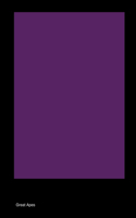 Production Staff of Adventure Time
