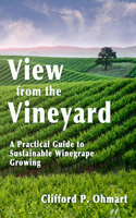 View from the Vineyard