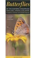 Butterflies of the Eastern Chesapeake: Maryland, Virginia & Delaware: A Guide to Common & Notable Species