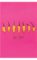 Hot Stuff Chilli Bullet Journal
