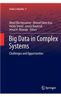 Big Data in Complex Systems: Challenges and Opportunities