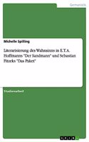 Literarisierung des Wahnsinns in E.T. A. Hoffmanns "Der Sandmann" und Sebastian Fitzeks "Das Paket"