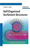 Self-Organized Surfactant Structures