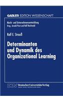 Determinanten Und Dynamik Des Organizational Learning